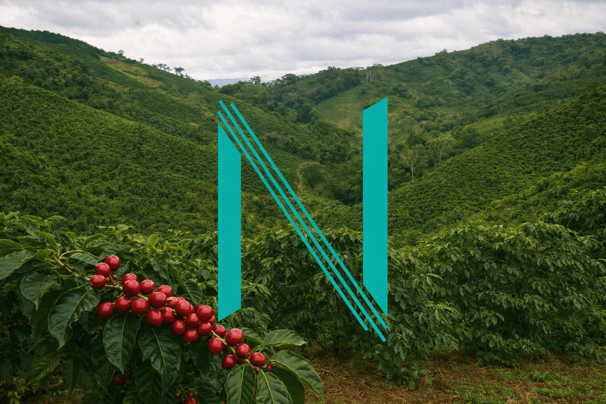 Nomad Detroit Coffee - Coffee Farm with N